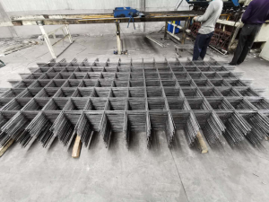 草莓视频官网视频