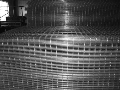 草莓视频官网视频